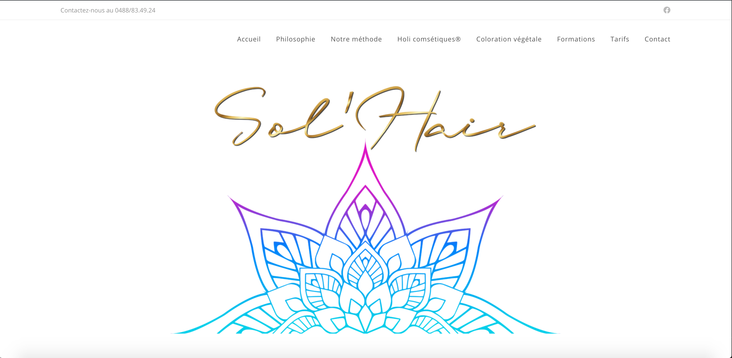 Duoplus - site web sol'hair