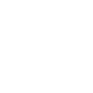 duoplus LOGO-pixel-web